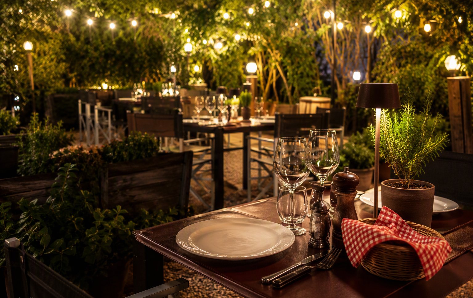 Il tavolo apparecchiato nel giardino sera con le luci tra le piante